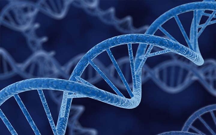 করোনায় মৃত্যুর জন্য দায়ী জিন চিহ্নিত